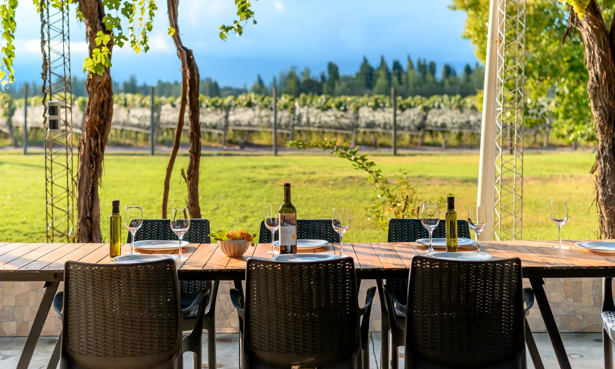 Luján de Cuyo Wine Tour