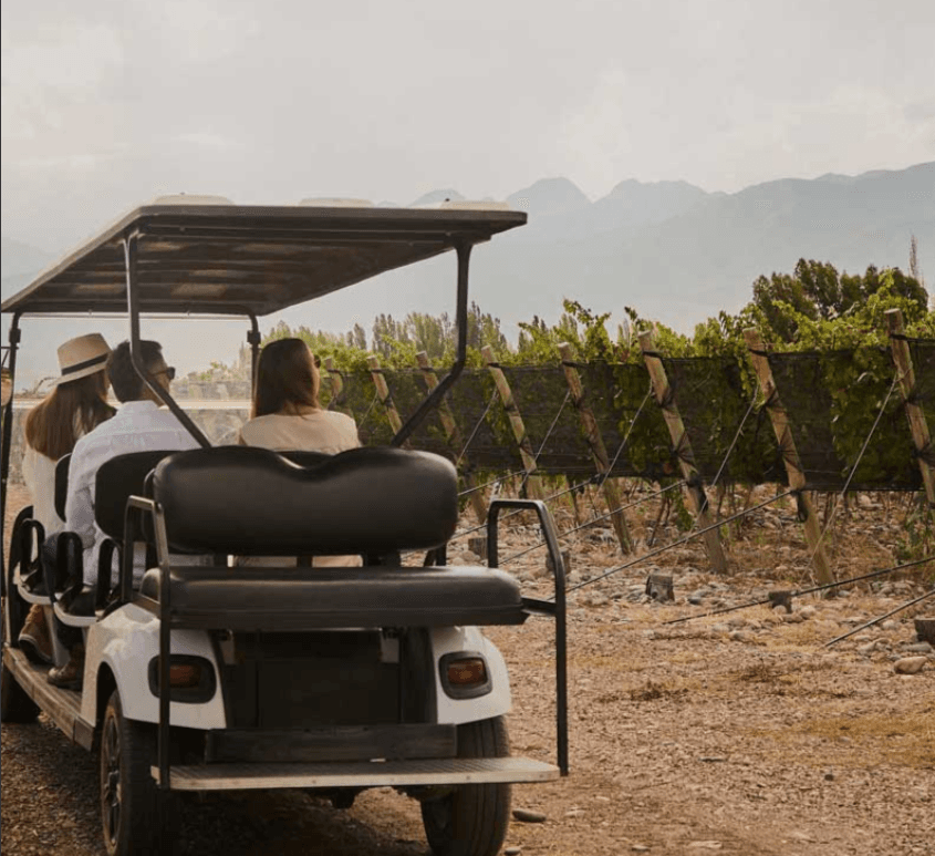 Golf cart driving through the Finca Bandini vineyard