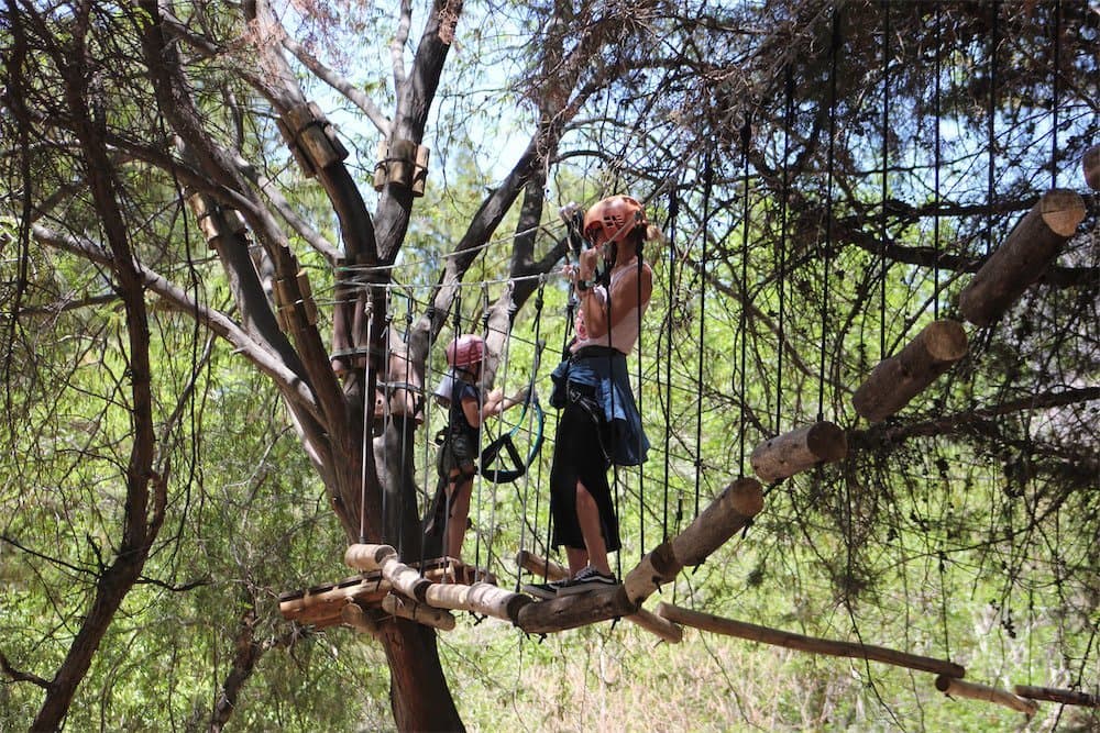 Zipline among the trees