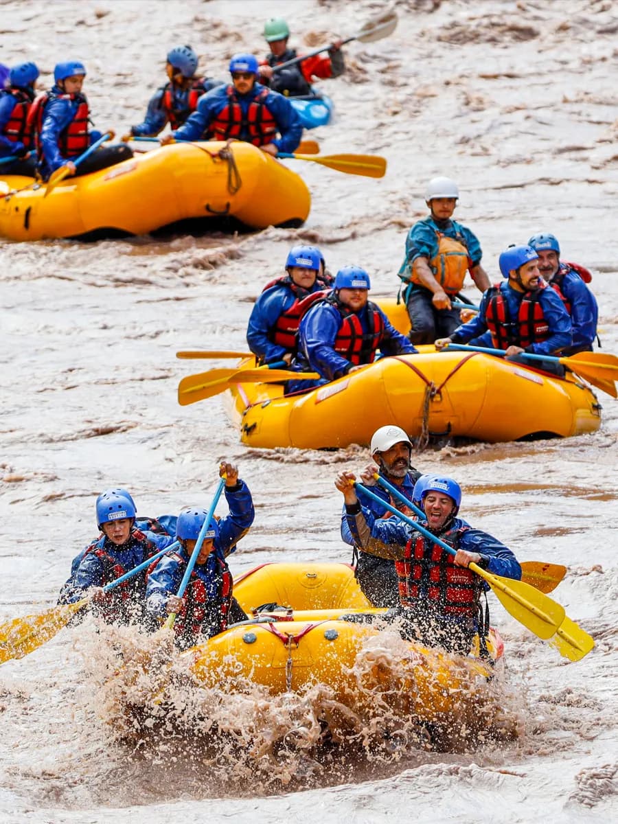 Rafts on the riverbank