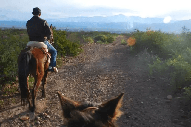 View from the saddle along the trail at sunset