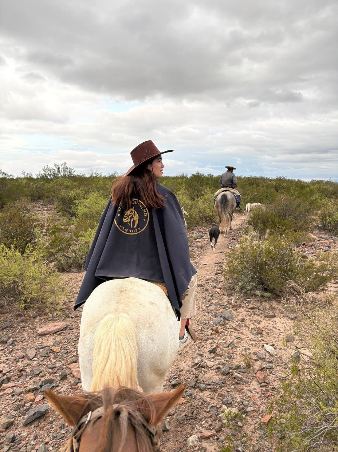 Rider in a hat on a criollo horse