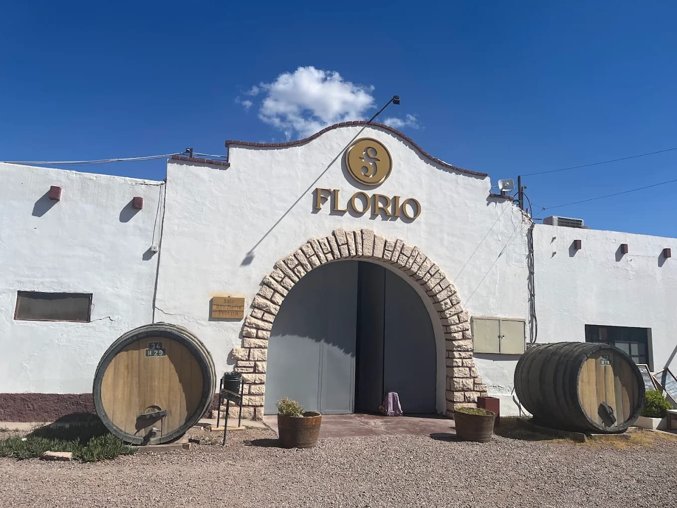 Mendoza Winery Tour