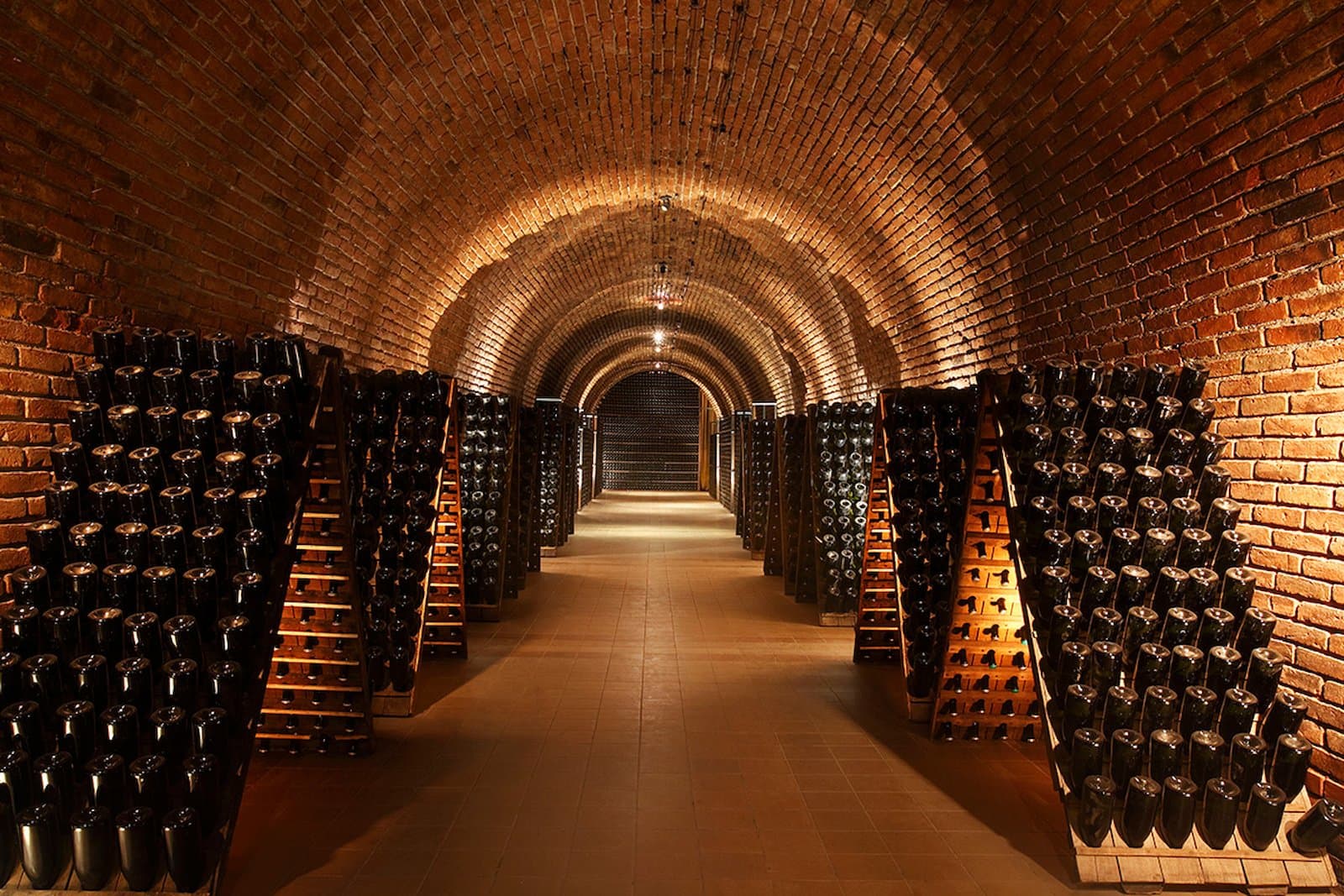Barrel tunnel in a winery