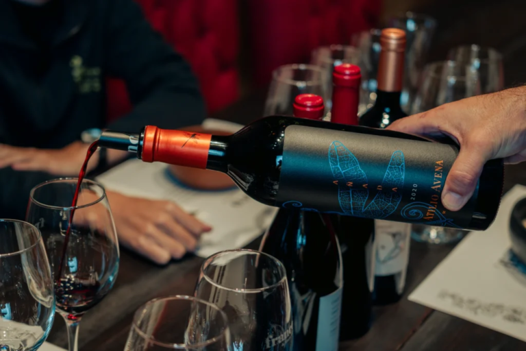 Botellas de vino servidas en la mesa