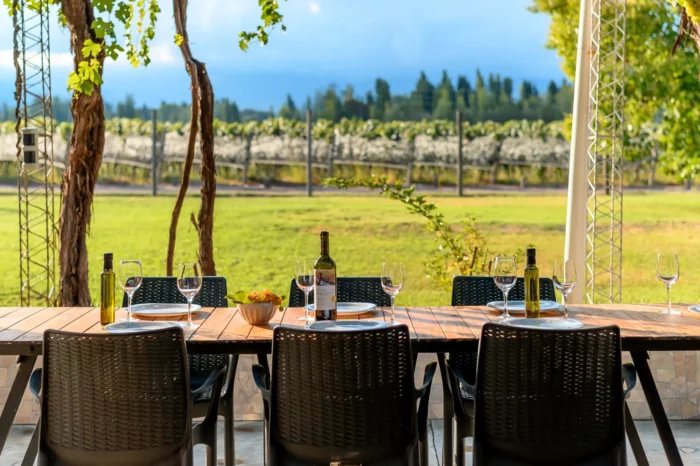 Wine Tour Luján de Cuyo — Las Bodegas Premium del Malbec