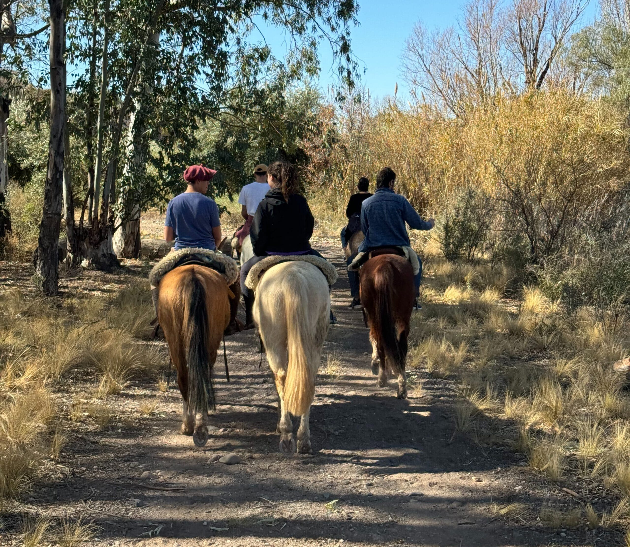 Cabalgata con Almuerzo Criollo — Experiencia Gaucha en Maipú