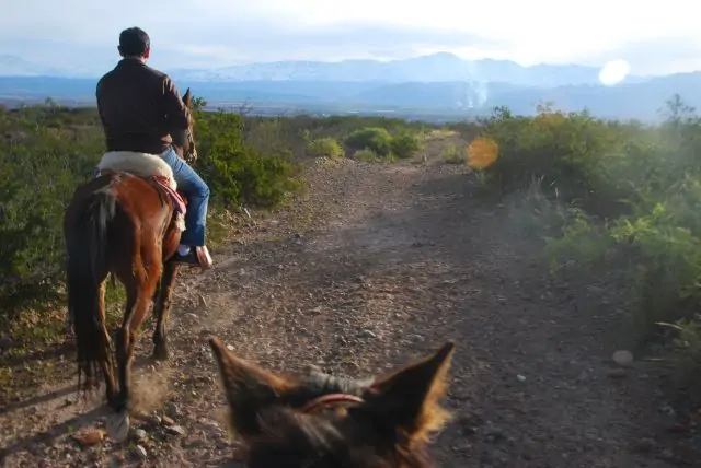 Cabalgata Al Atardecer - Imagen 4