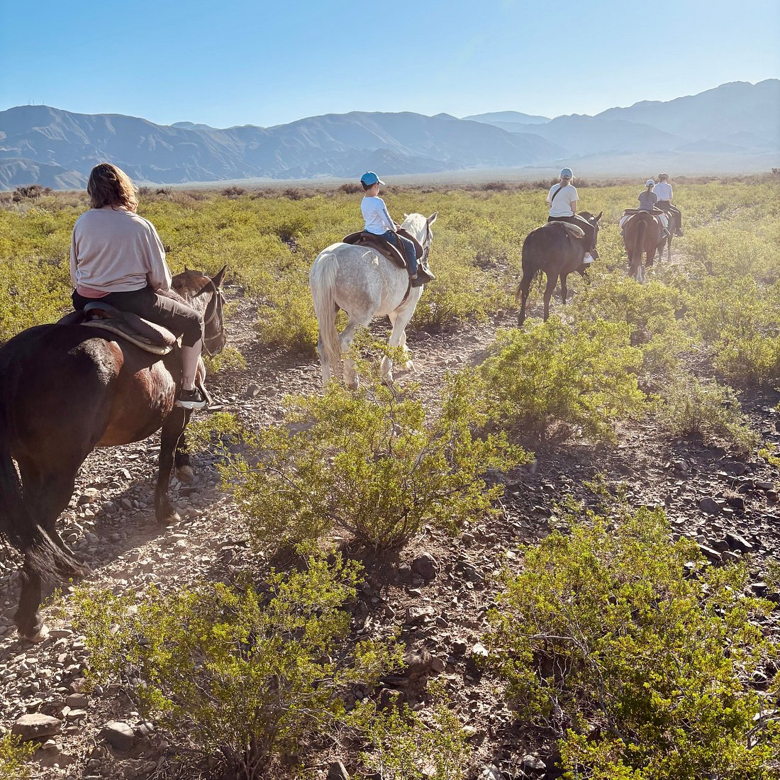 Cabalgata con Almuerzo – Medio Día desde Mendoza - Imagen 4
