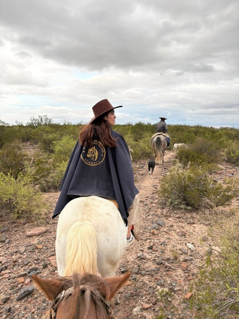 Jinete con sombrero sobre caballo criollo