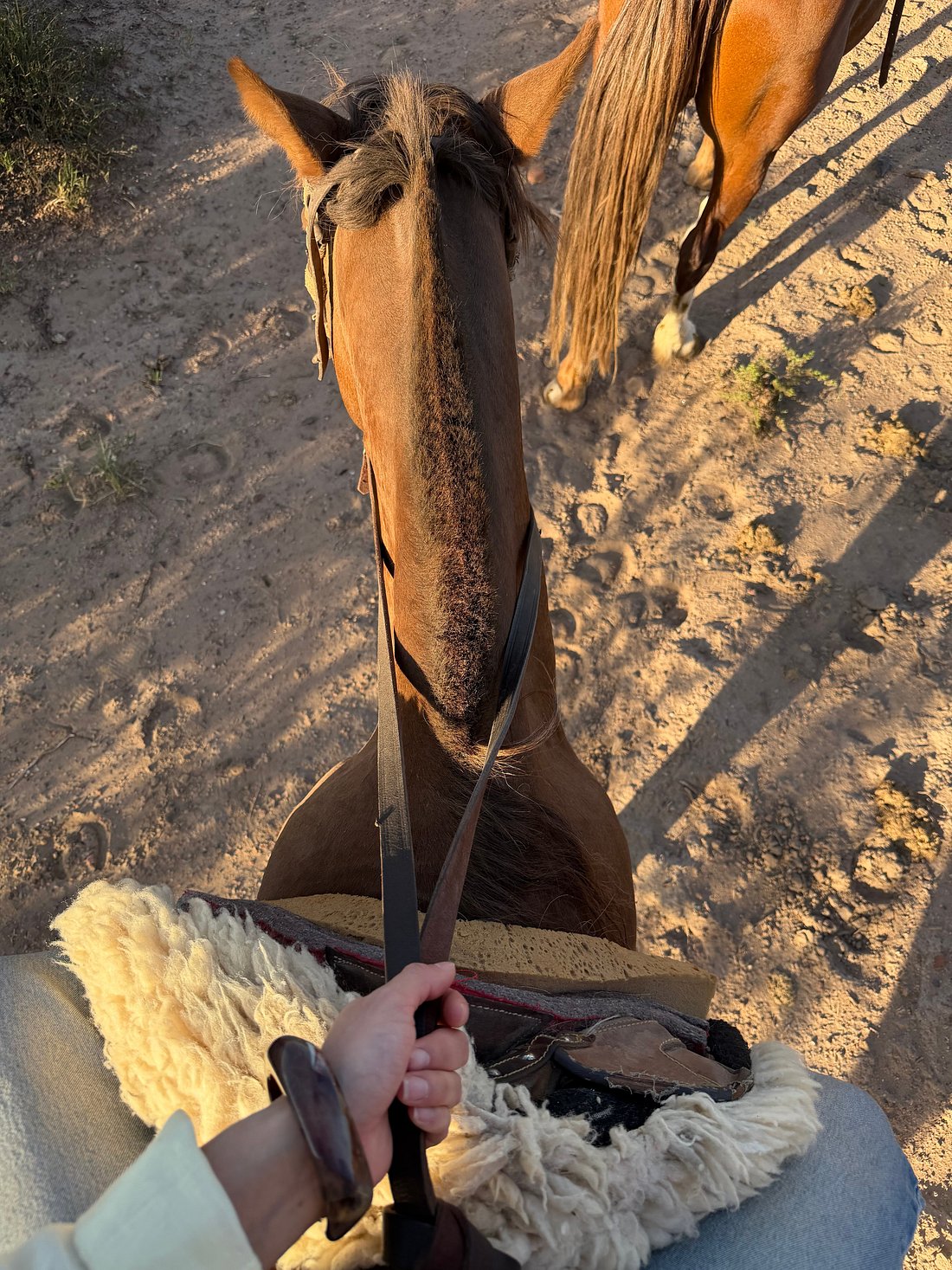 Cabalgata con Almuerzo – Medio Día desde Mendoza - Imagen 2