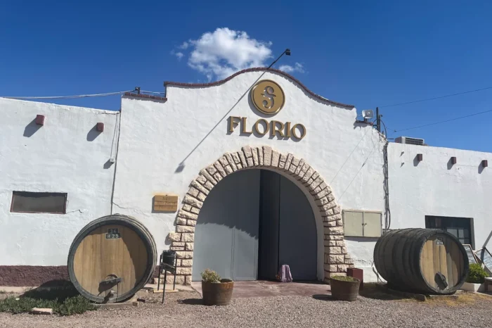 Tour Bodegas Mendoza — Wine Tour de Medio Día