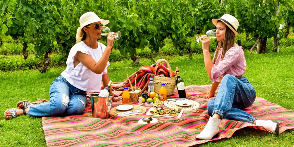 Un wine tour recorre tres bodegas en el día, con almuerzo entre la segunda y la tercera.