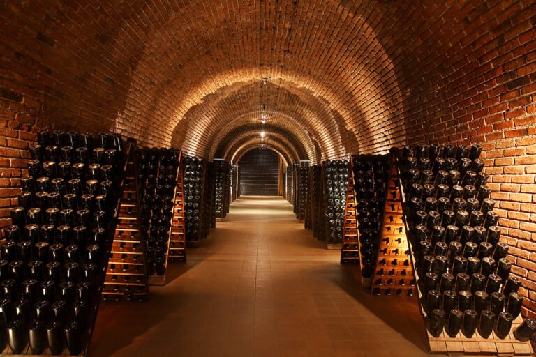 Túnel de barricas de una bodega